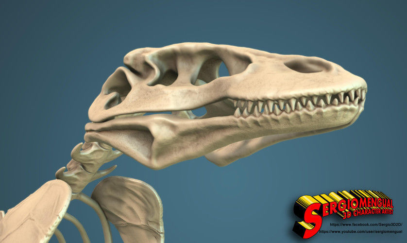 Komodo Dragon Skeleton  3D print model_4