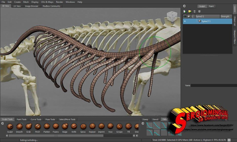Komodo Dragon Skeleton  3D print model_15