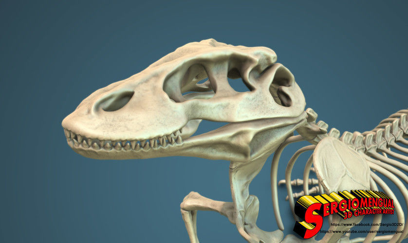 Komodo Dragon Skeleton  3D print model_3
