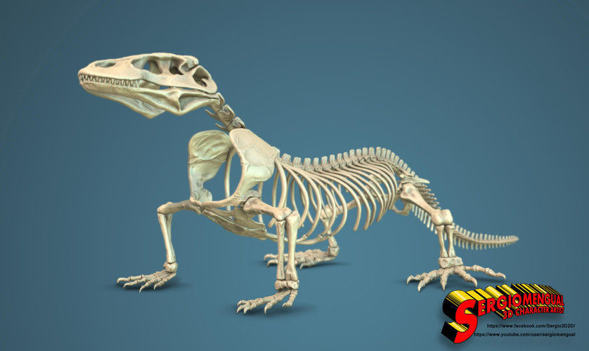 Komodo Dragon Skeleton  3D print model_2