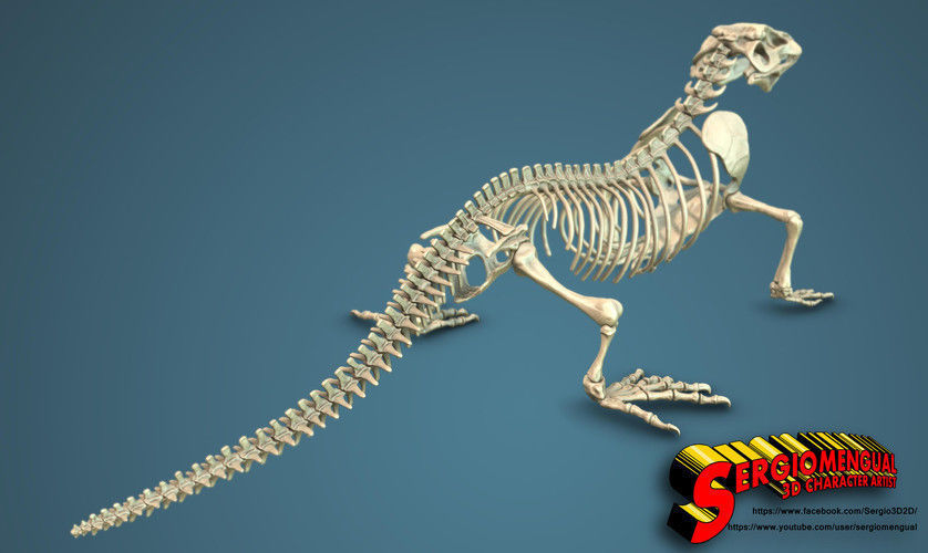 Komodo Dragon Skeleton  3D print model_1