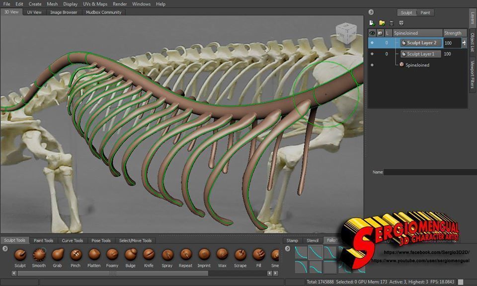 Komodo Dragon Skeleton  3D print model_16