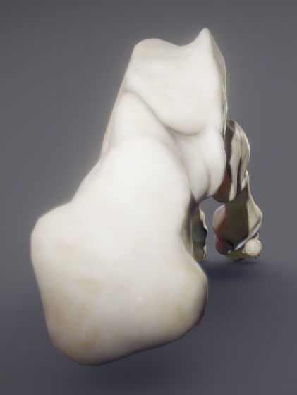Foot Bones Low-poly 3D model_2