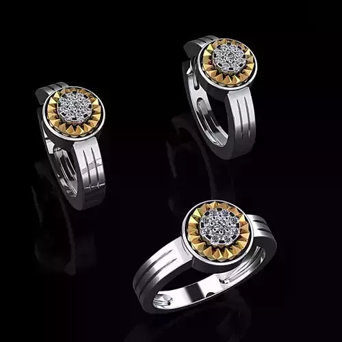 Ring and Earrings 09