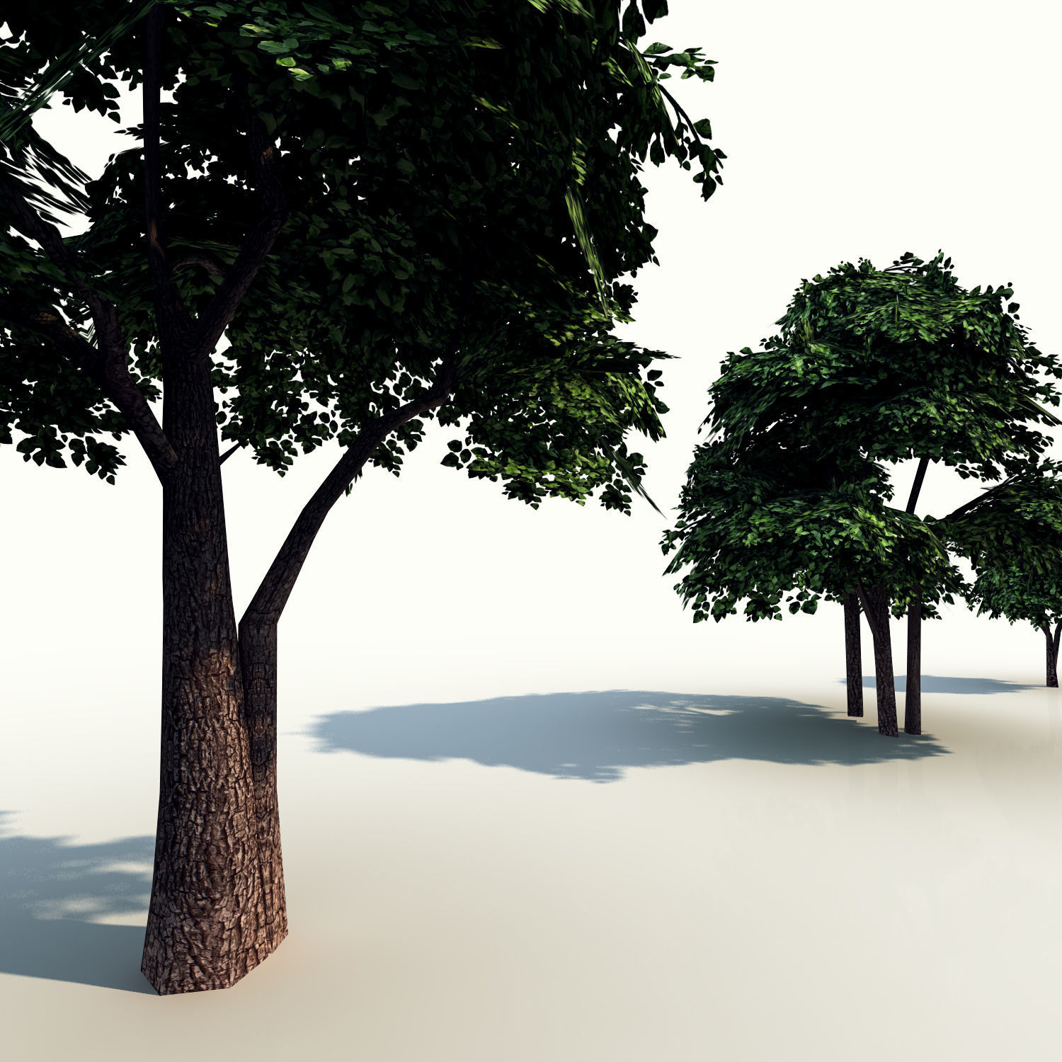 Trees pack lowpoly plus pebbles and small bushes Low-poly 3D model_9