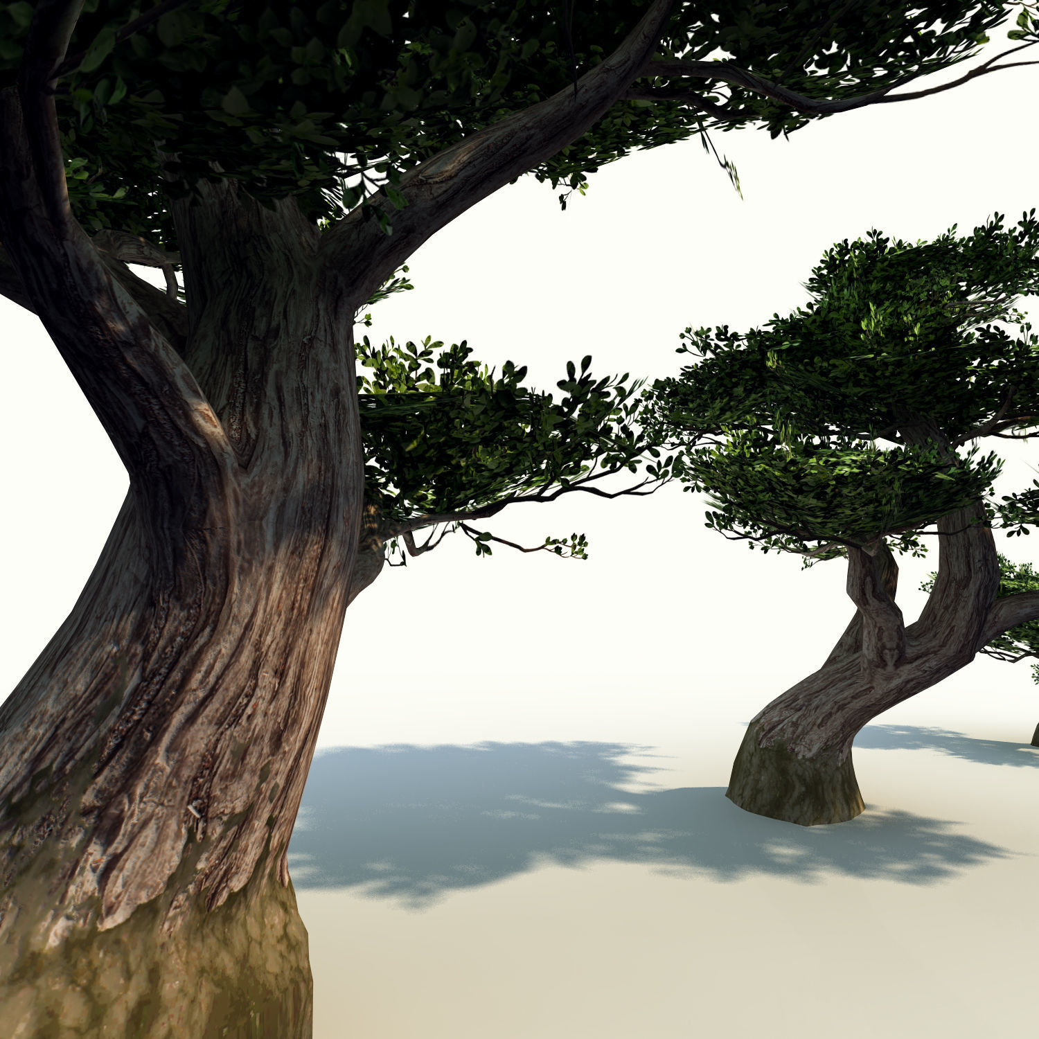 Trees pack lowpoly plus pebbles and small bushes Low-poly 3D model_11