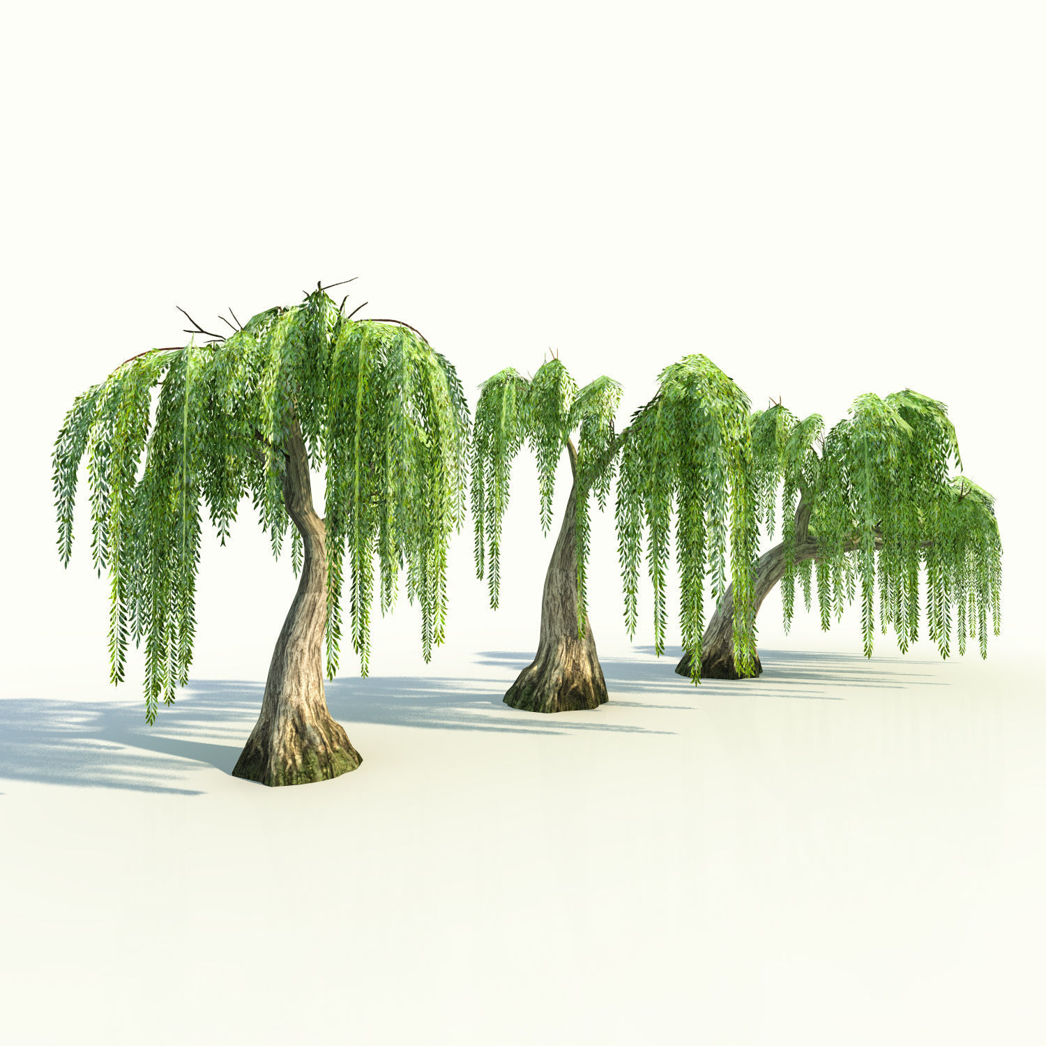 Trees pack lowpoly plus pebbles and small bushes Low-poly 3D model_17