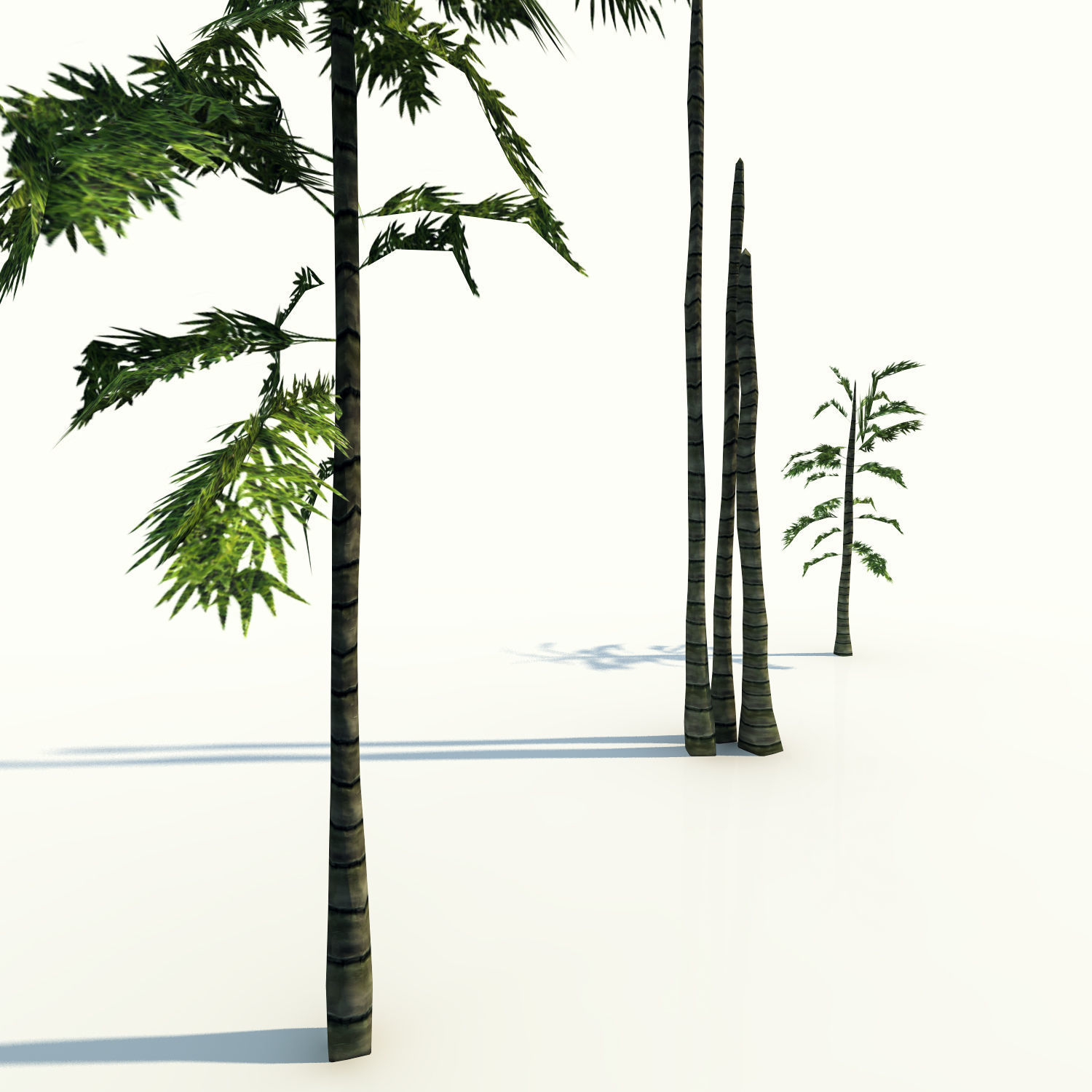 Trees pack lowpoly plus pebbles and small bushes Low-poly 3D model_21