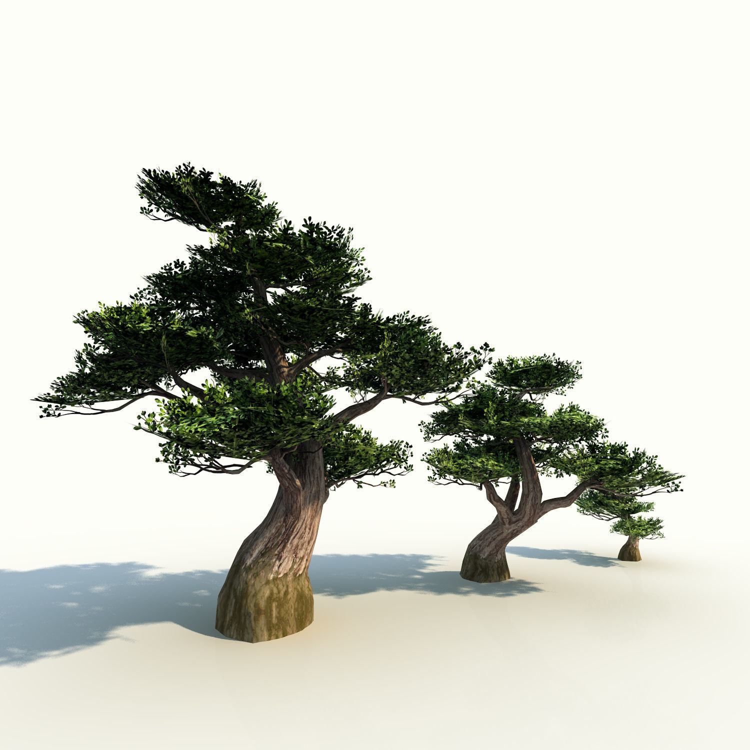 Trees pack lowpoly plus pebbles and small bushes Low-poly 3D model_10