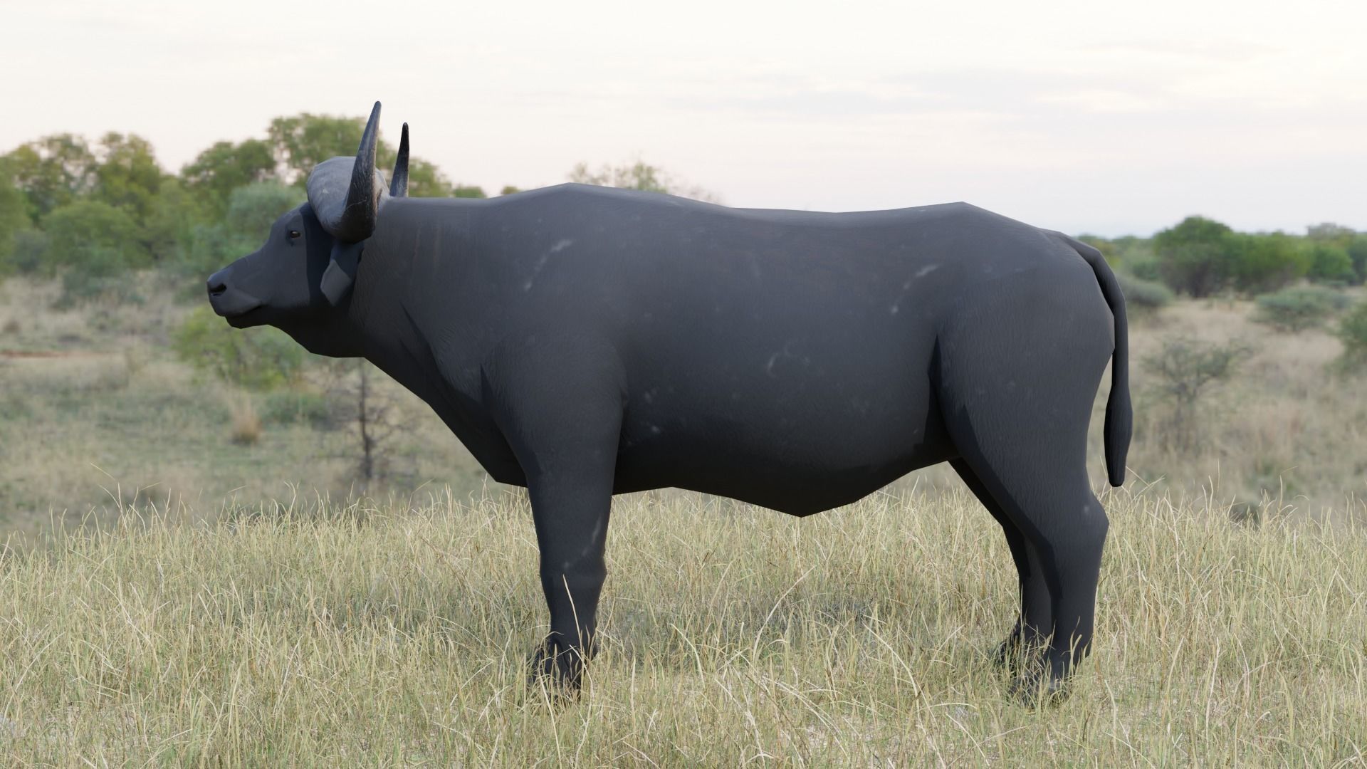 Buffalo bull Low-poly 3D model_4