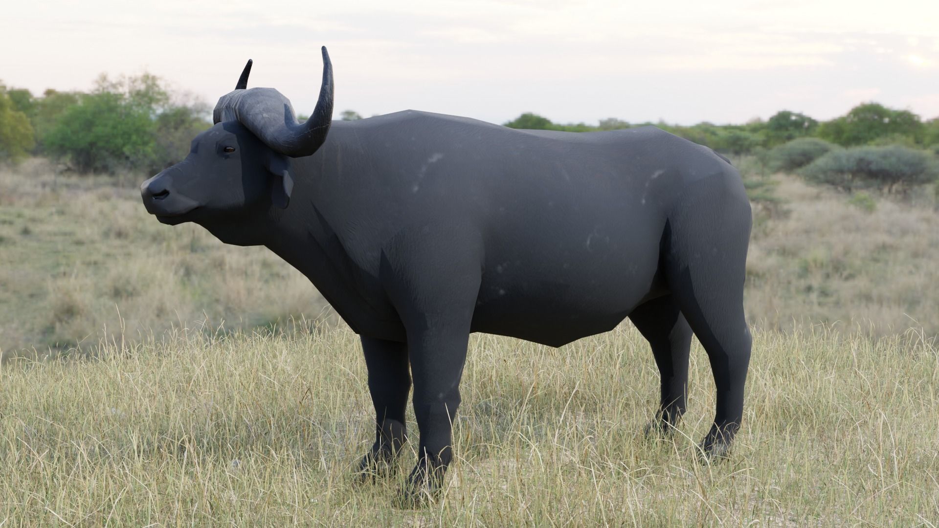 Buffalo bull Low-poly 3D model_2