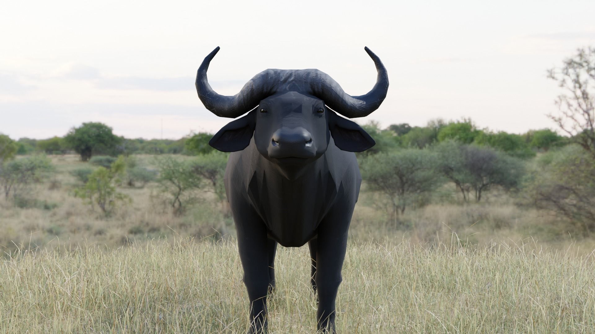 Buffalo bull Low-poly 3D model_3
