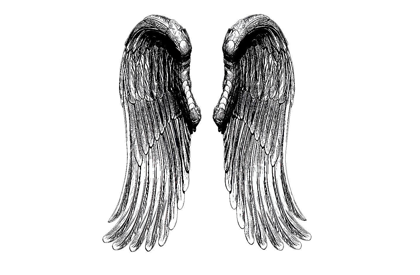 angel wings  3d model  3D print model_10