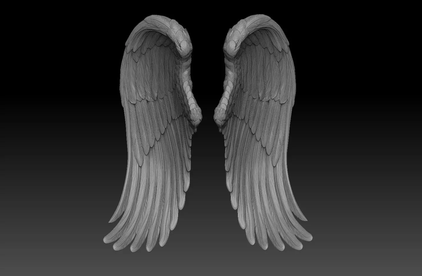 angel wings  3d model  3D print model_0