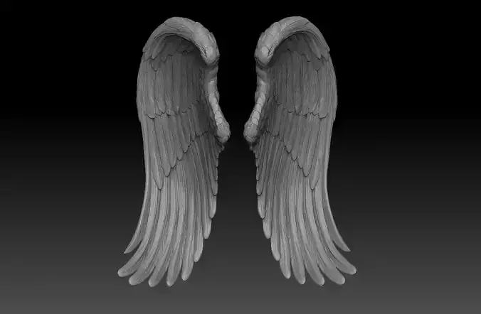 angel wings  3d model  3D print model
