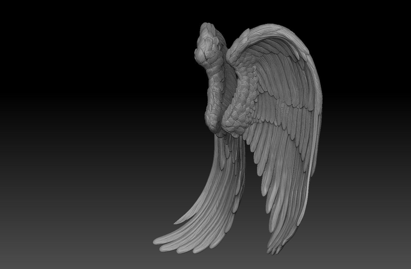 angel wings  3d model  3D print model_2