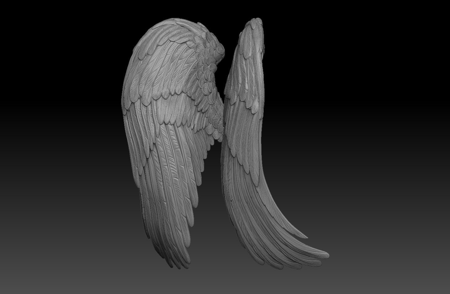 angel wings  3d model  3D print model_4