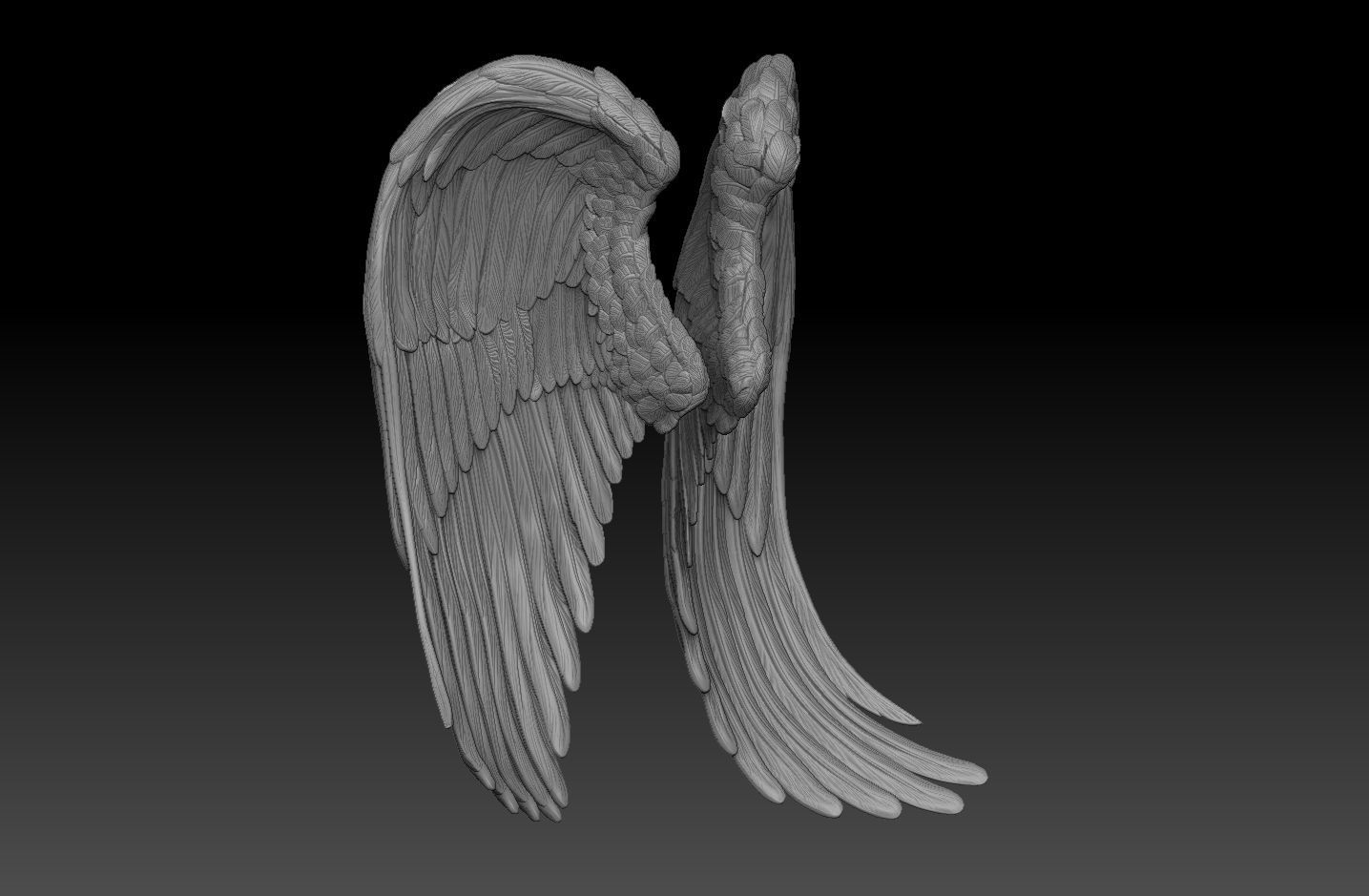 angel wings  3d model  3D print model_5