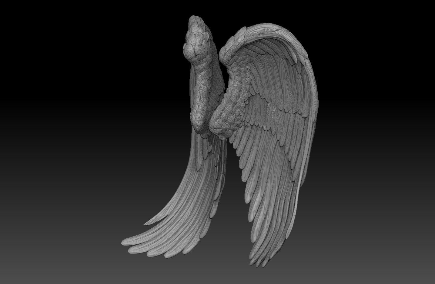 angel wings  3d model  3D print model_6