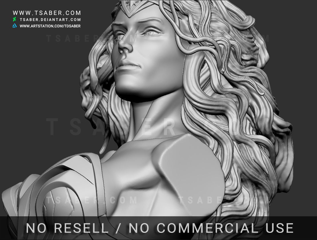 Wonder Woman Bust - Zbrush DC Comics Collectibles 3D print model_15
