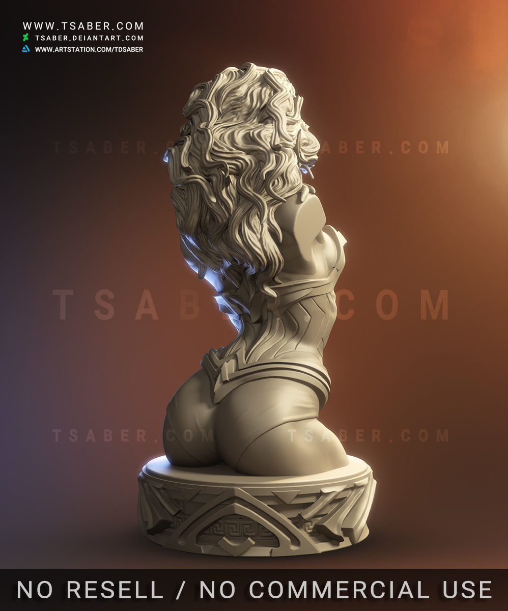 Wonder Woman Bust - Zbrush DC Comics Collectibles 3D print model_4