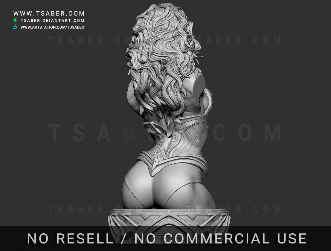 Wonder Woman Bust - Zbrush DC Comics Collectibles 3D print model_10
