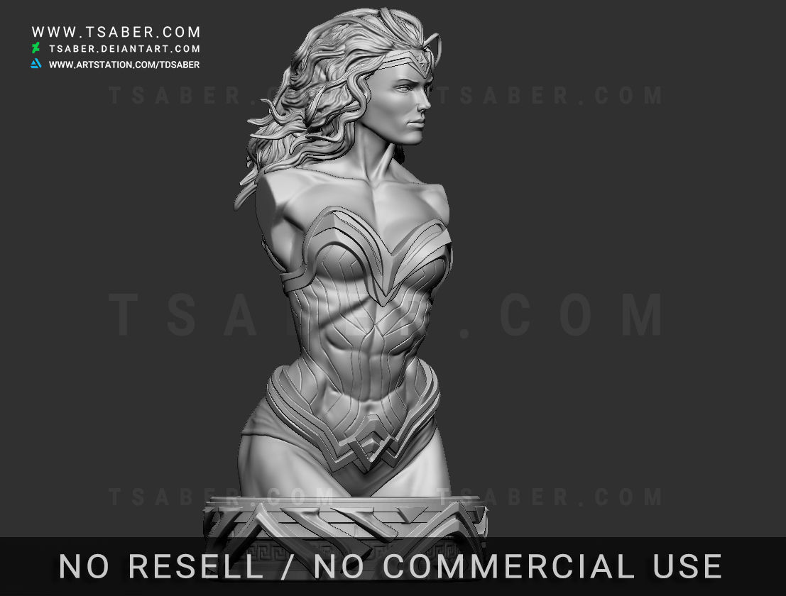 Wonder Woman Bust - Zbrush DC Comics Collectibles 3D print model_13