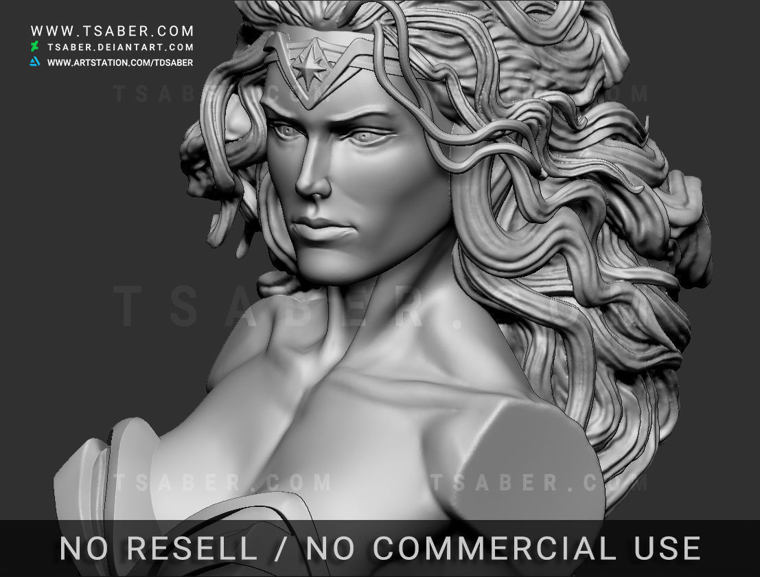 Wonder Woman Bust - Zbrush DC Comics Collectibles 3D print model_14