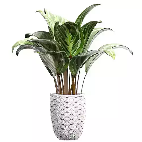 Flower Pack 87 3D model