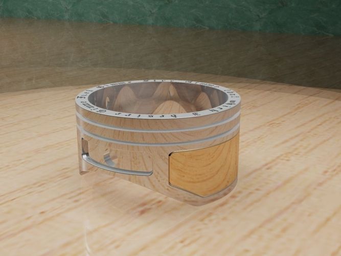 ring piston 3D print model