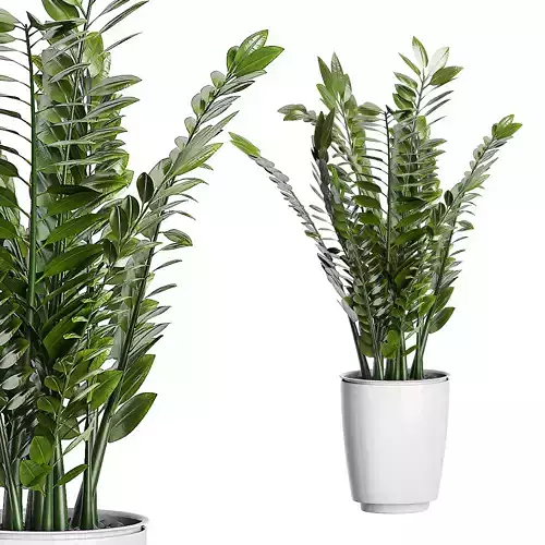 Flower Pack 88 3D model