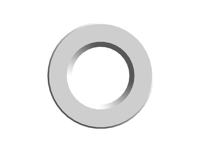 22300 PLAIN CHANFERED WASHER 300 PLAIN Free 3D print model_1