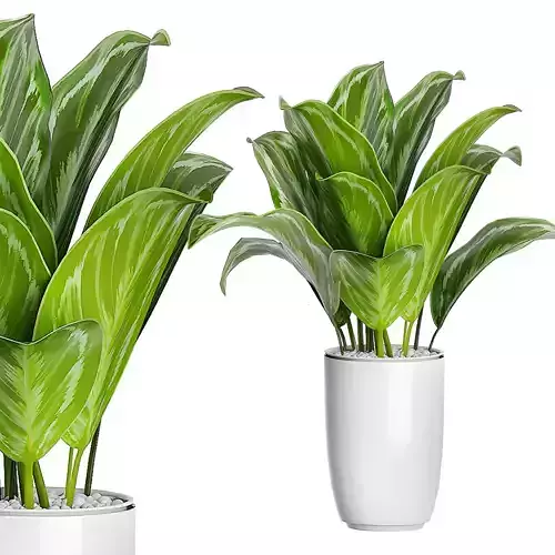 Flower Pack 89 3D model