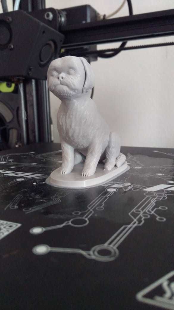 Seated Shih Tzu 3D print model_1