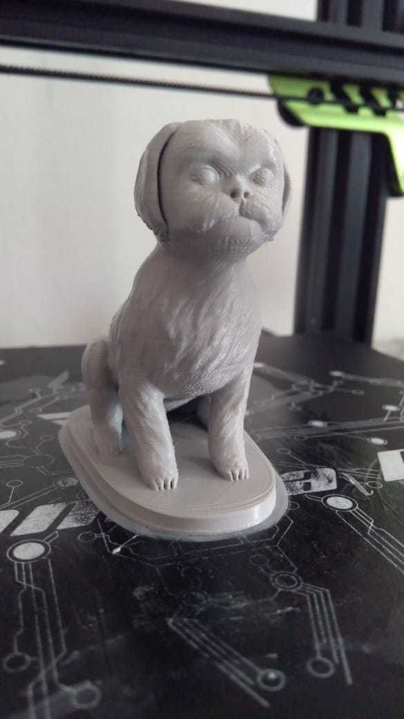 Seated Shih Tzu 3D print model_2