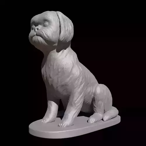 Seated Shih Tzu  3D print model