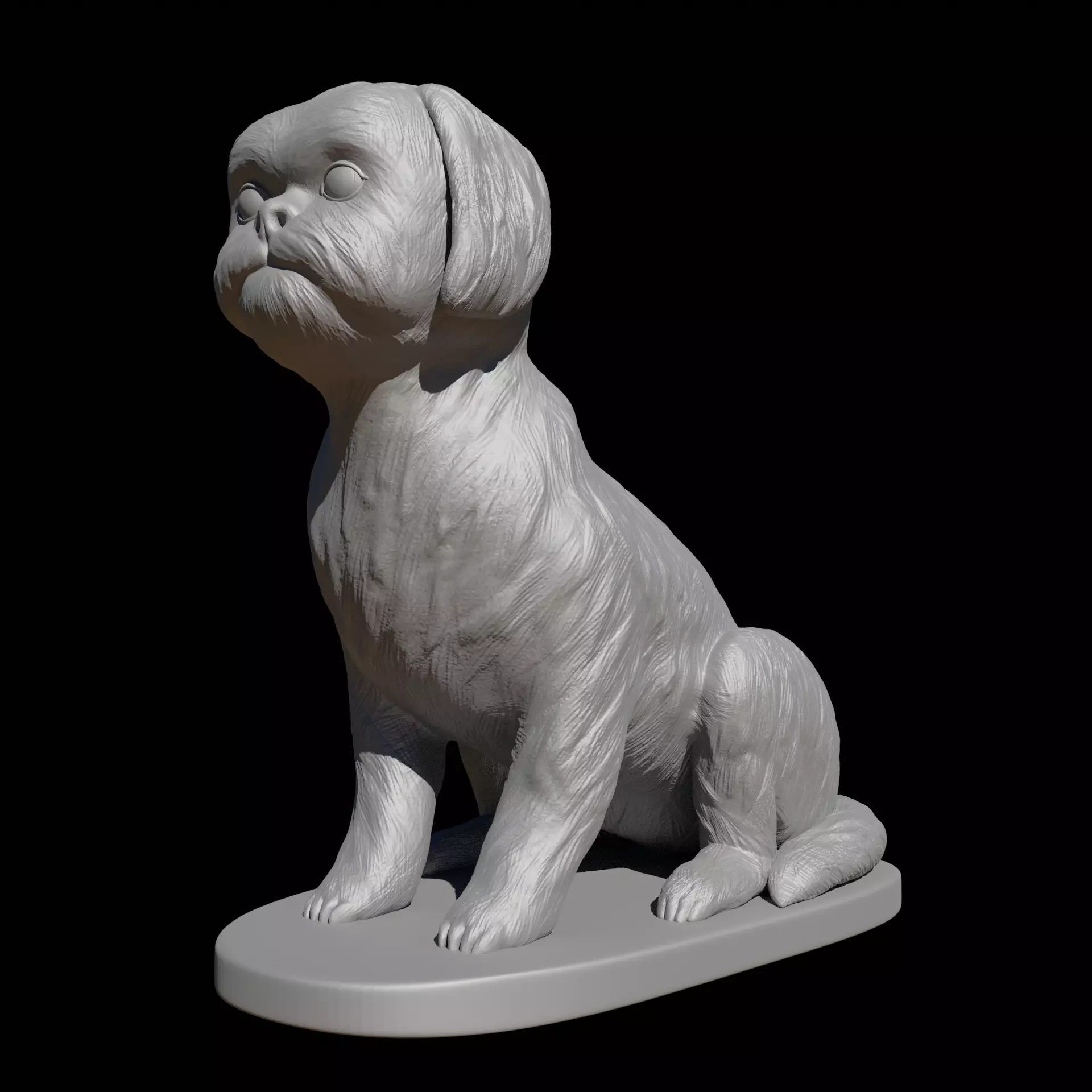 Seated Shih Tzu 3D print model_0