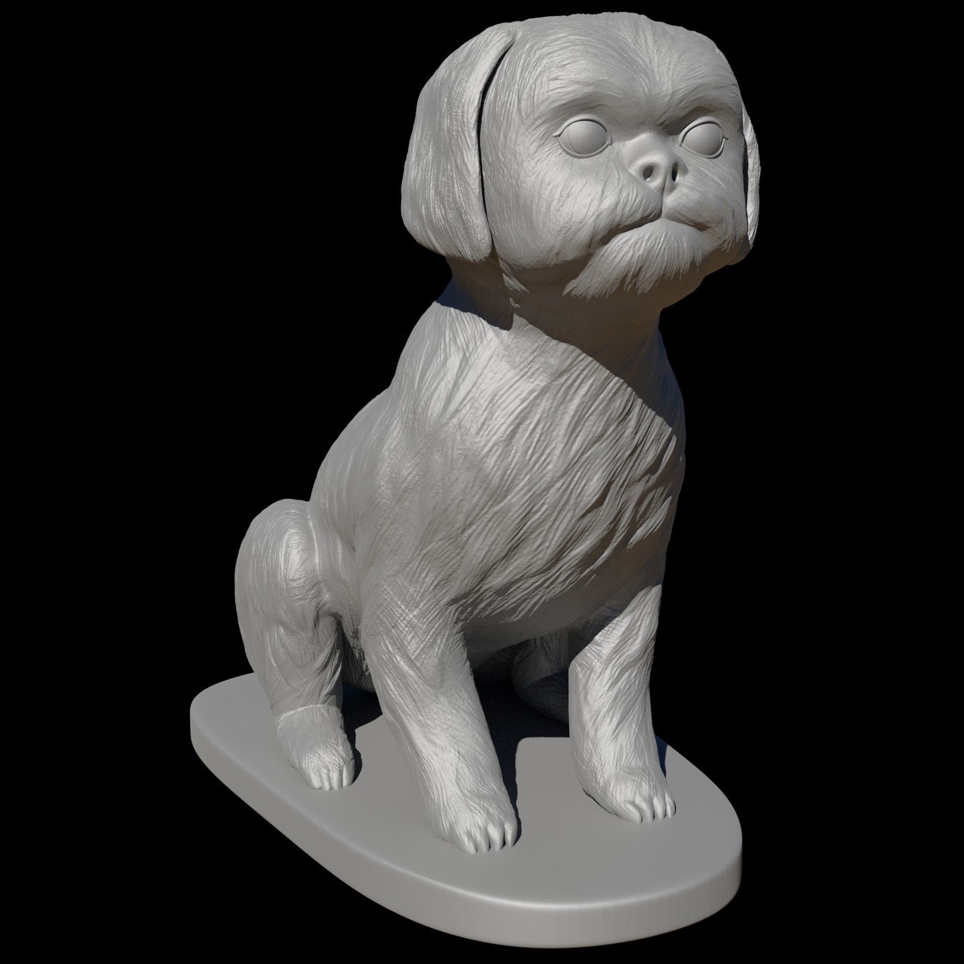 Seated Shih Tzu 3D print model_4