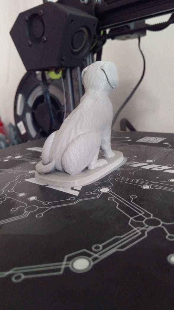 Seated Shih Tzu 3D print model_3