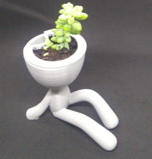Self-watering Succulent Planter seated 3D print model_3