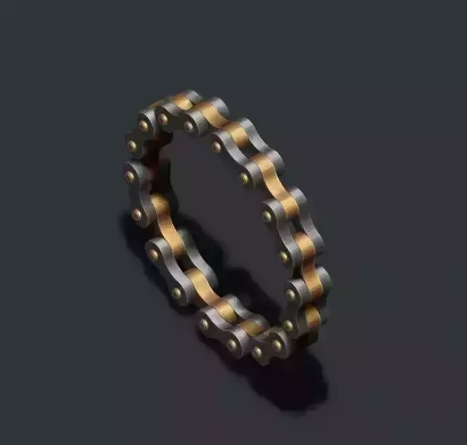 Bicycle chain ring 3D print model