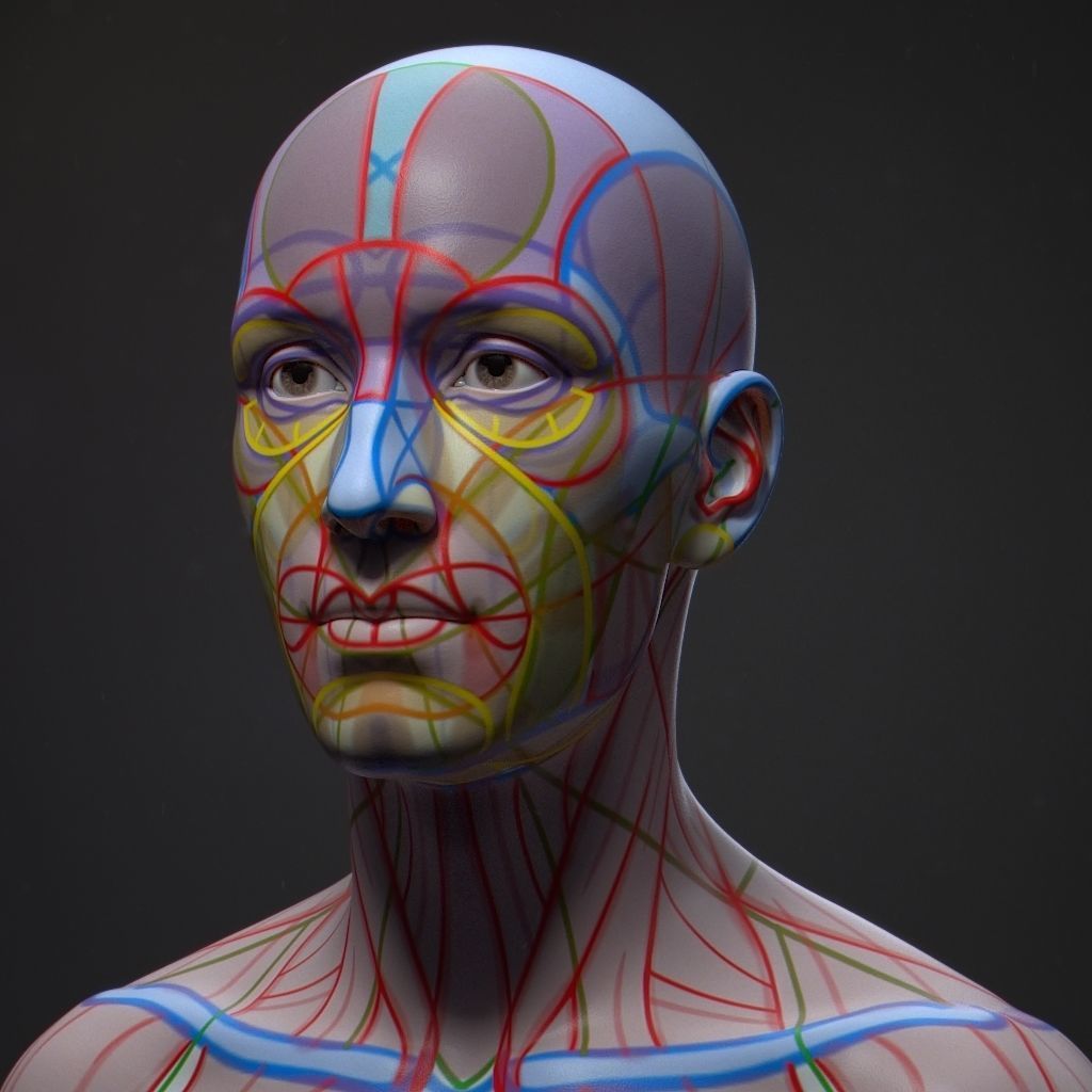 Default Human Head Basemesh Low-poly 3D model_17