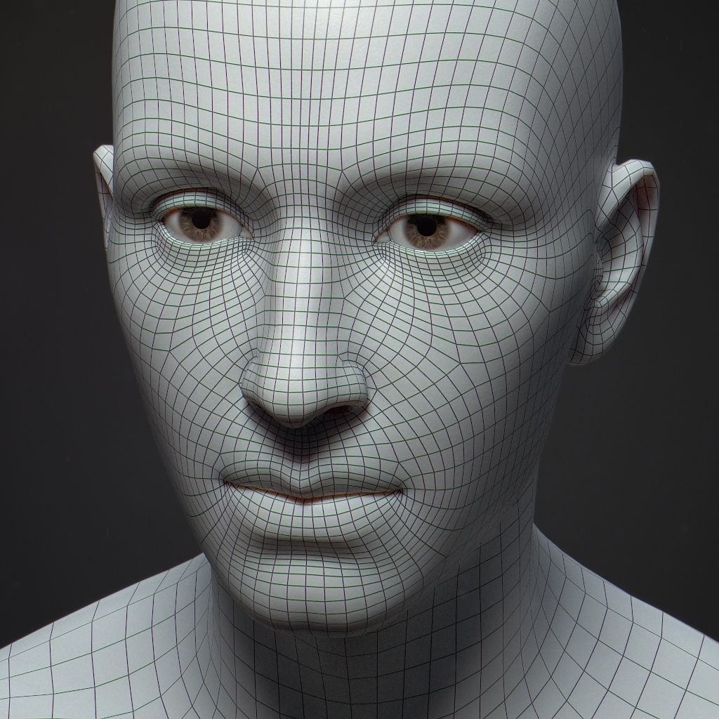 Default Human Head Basemesh Low-poly 3D model_8