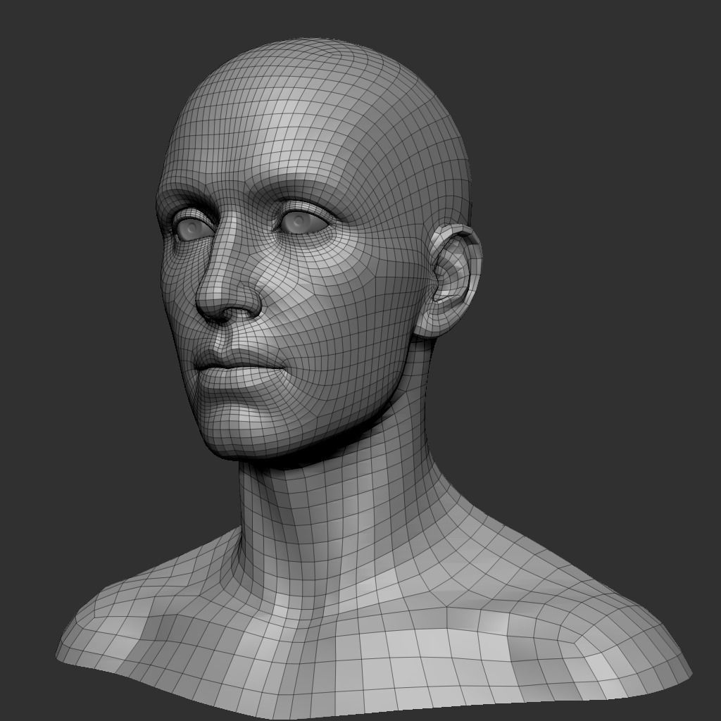Default Human Head Basemesh Low-poly 3D model_1