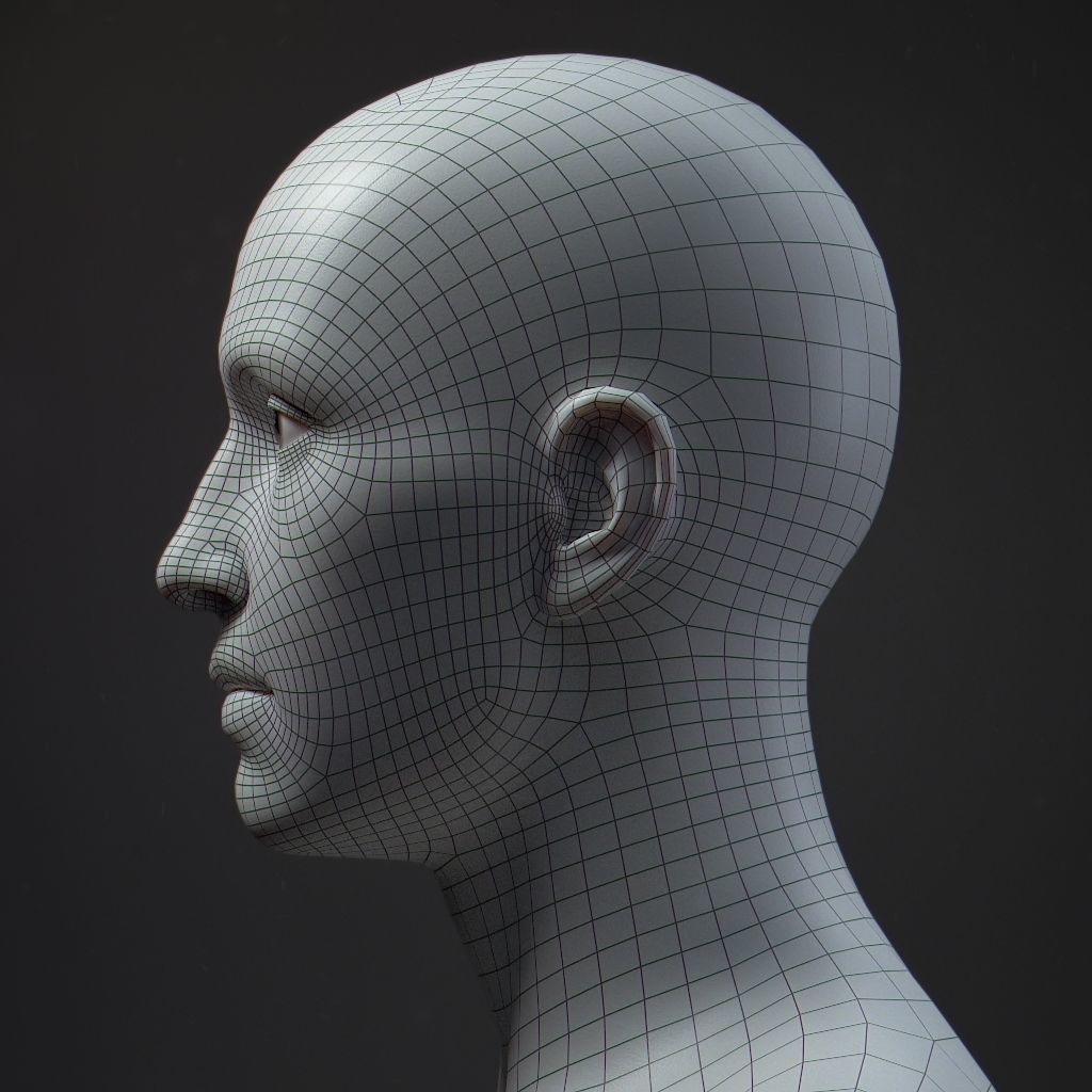 Default Human Head Basemesh Low-poly 3D model_14
