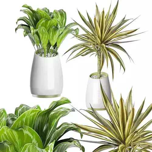 Flower Pack 91 3D model