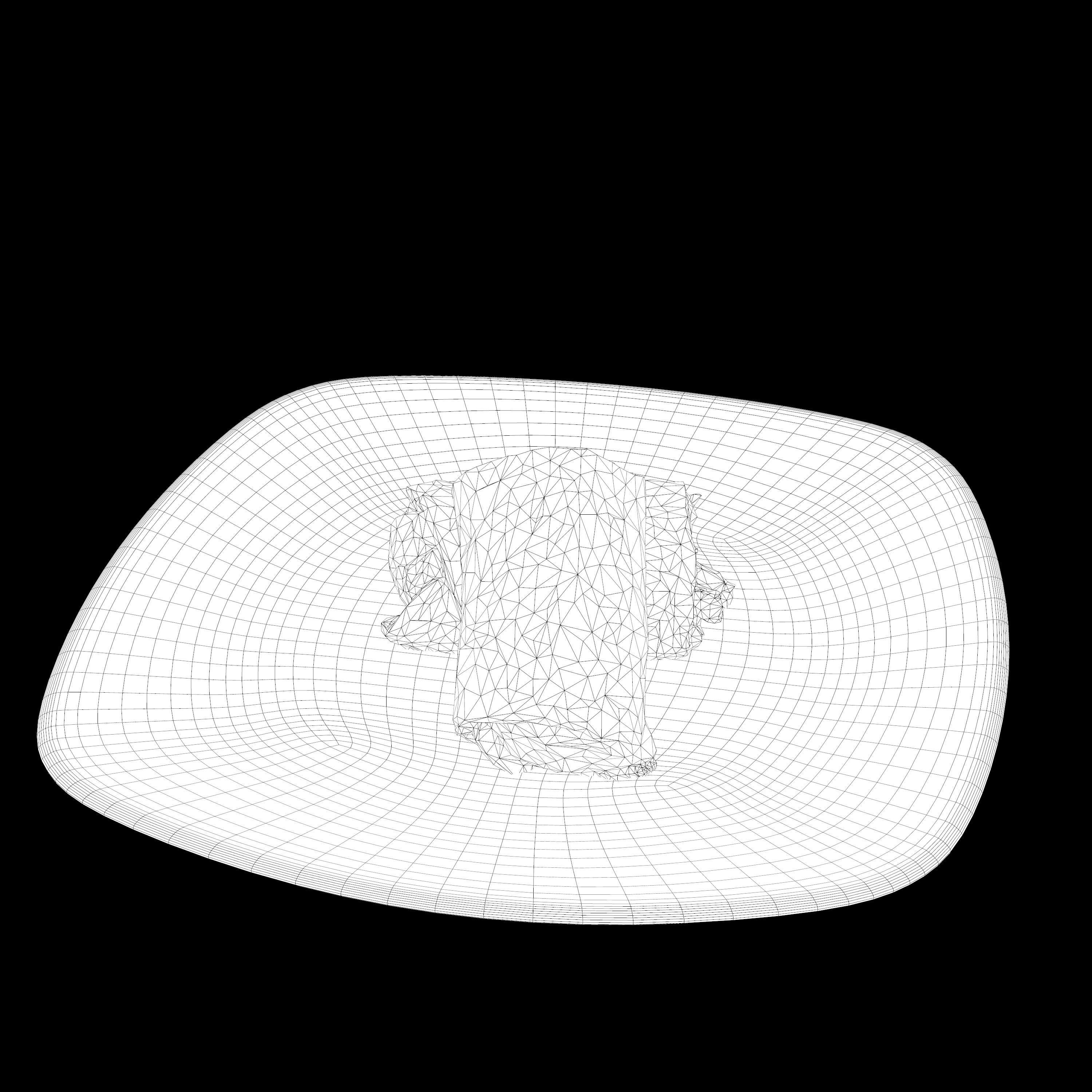 shawarma Low-poly 3D model two burritos on plate Low-poly 3D model_12