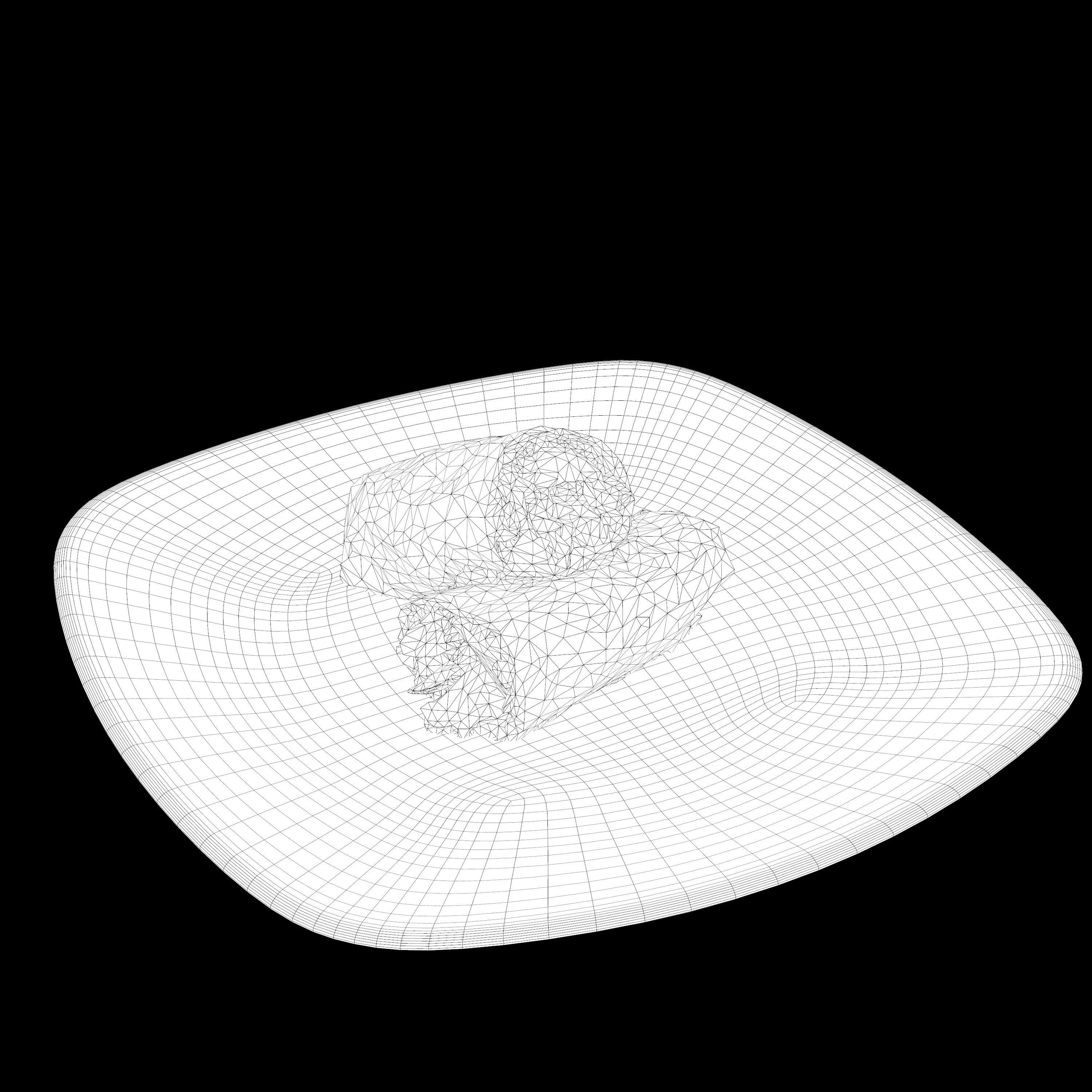 shawarma Low-poly 3D model two burritos on plate Low-poly 3D model_15