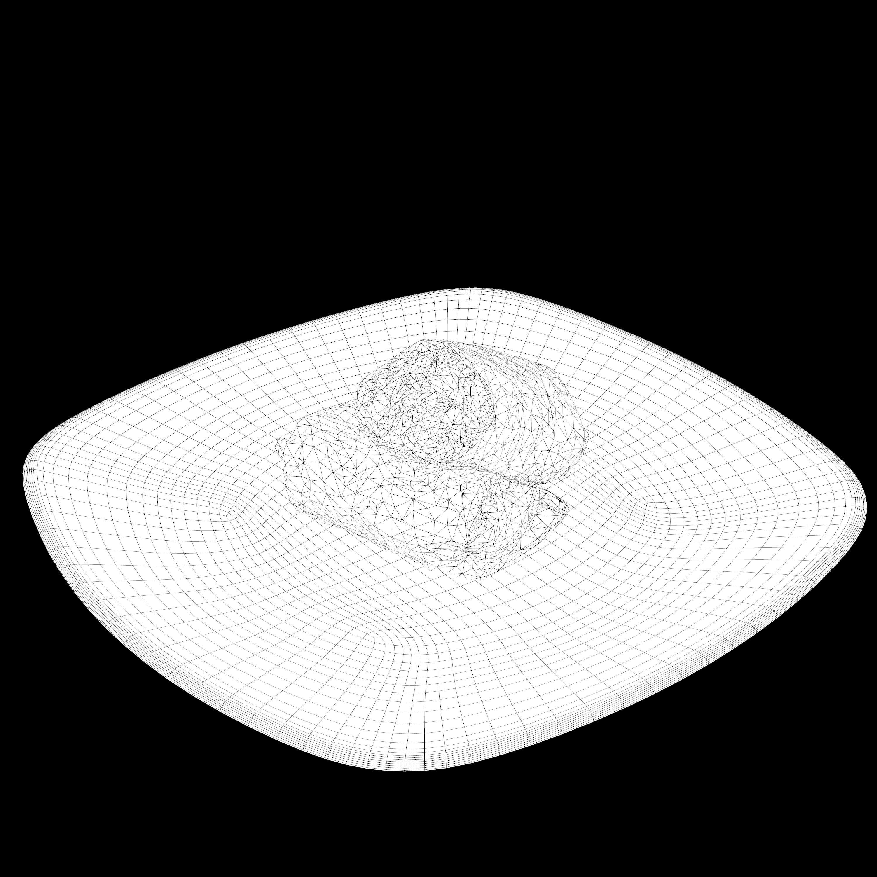 shawarma Low-poly 3D model two burritos on plate Low-poly 3D model_14