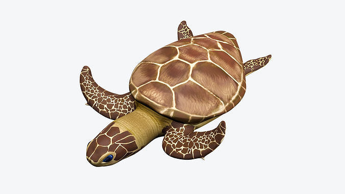 Green Sea Turtle Low-poly 3D model